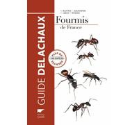 Fourmis De France, De Belgique Et Du Luxembourg