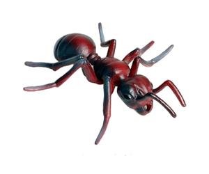 Fourmis en Plastique, Figurines d'animaux réalistes, Cycle de Croissance de Fausses Fourmis, Jouets éducatifs précoces pour Projet Scientifique