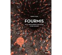 Fourmis - Vie et intelligence collective d'une colonie