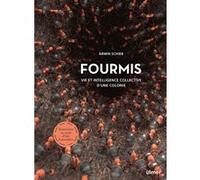 Fourmis - Vie et intelligence collective d'une colonie Armin Schieb (Auteur), Pierre Bertrand (Traduction)