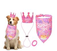Fournitures de fête d'anniversaire pour chien avec chapeau et bannière, chapeau de fête pour chiens de petite, moyenne et grande taille (rose pour fille)