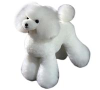 Fournitures de toilettage pour chiens|.Perruque de chien pour envelopper la pratique toilettage, cheveux doux et épais, fournitures d'émulation pour toiletteurs professionnels, sans modèle (Teddy)
