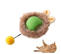 Fournitures for animaux de compagnie rechargeables Formation for chiens et chats for imiter les jouets interactifs for animaux de compagnie de rats Jouet électrique Balle Queue simulée Maison(Green-Pl