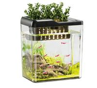 Fournitures pour animaux domestiques - Boîte d'alimentation transparente pour tortue - Petit bureau - Réservoir à tortues (noir)