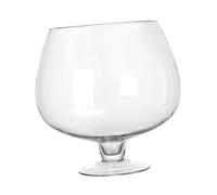 Fournitures Réservoir Transparent Aquarium Décoratif Multifonction | Verre Haute Transparence, Forme Bulle Sphérique, Usage Bureau et Décoration, pour Plantes Aquatiques et Gravier