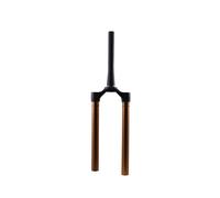 Fourreau de fourche vélo Fox Factory 2021 36 29in 160 15x110 Kashima Noir