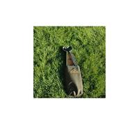 Esschert Design GT02 Abri de Jardin Vert 9,5 x 3,9 x 25,6 cm