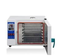 Fours à vide de laboratoire, four à température constante de 10 pouces pour usage industriel - Options de four de laboratoire 15,6 L, four de laboratoire intérieur en acier inoxydable 15.6L-Galvanized