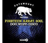 Fourteen Karat Soul - DooWoppDisco