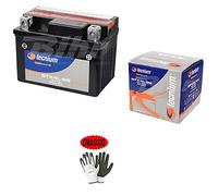 Fox compatible avec ADLY SF Silver 2T 50 2006 Batterie déjà prête à l'emploi Tecnium YTX4L-BS Batterie 3 ampères 12 V spécifique pour moto scooter 113 x 70 x 85