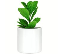 Fox&Fern Cache-Pot M - Grand Pot de Fleurs Blanc avec Drainage d'Eau - Haut 24 cm, Diamètre 25 cm - Pour Plantes d'Intérieur