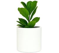 Fox&Fern Grand Pot de Fleurs L avec réservoir d'eau - Pot de Fleurs Haut 27 cm - pour Plantes d'intérieur - Pot de Fleurs 30 cm de diamètre - Grand Pot de Fleurs - Blanc