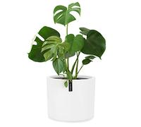 Fox&Fern Jardinière avec Stockage d'eau Blanc Taille M 24 cm de Haut 25 cm de diamètre