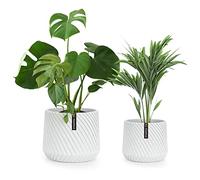 Fox & Fern Pot de fleurs Heusden en lot de 2