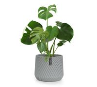 Blumfeldt Pot de fleurs Heusden – fait à la main en polystone, respectueux des plantes