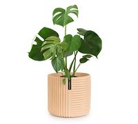 Fox&Fern Pot de Fleurs L avec Structure linéaire - Grand Pot de 27 cm avec évacuation d'eau pour Plantes en extérieur et intérieur - Convient pour Support de Fleurs Fox&Fern L (diamètre 30 cm) -