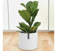 Fox&Fern Pot de fleurs M avec structure linéaire - Grand cache-pot de 24 cm avec évacuation d'eau pour plantes en extérieur et intérieur - Convient pour support de fleurs Fox&Fern M (diamètre 25 cm) -
