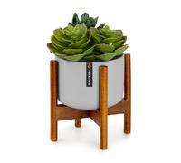 Fox & Fern Pot de fleurs Thorn avec support