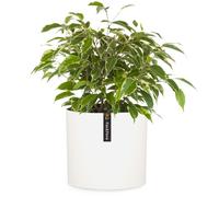 Blumfeldt Pot de fleur polystone intérieur/extérieur, résistant UV et gel, bouchon de drainage