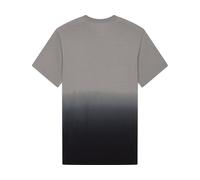 Fox Head T-shirt Hello Fox SS Prem Tee gris