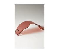 Fox Head Verre pour Masques Vue