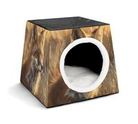 Fox in Field Nichoir confortable pour animaux de compagnie Capsule d'espace chaud et doux Abri d'intérieur pour chats d'intérieur petits et moyens animaux