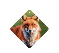Fox Printing Lot de 10 désodorisants pour voiture avec corde