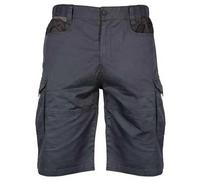 Fox Rage Short Summer