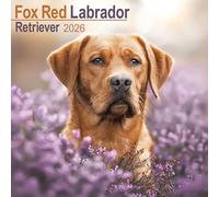 Fox Red Labrador Retriever Calendar 2026 Square Dog Breed Wall Calendar - 16 Month