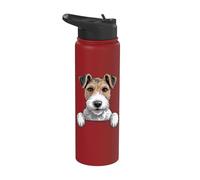 Fox Terrier à poils métalliques pour amoureux des chiens Stainless Steel Insulated Water Bottle
