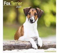 Fox Terrier Calendar 2025 Square Dog Breed Wall Calendar - 16 Month