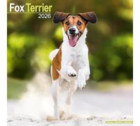 Fox Terrier Calendar 2026 Square Dog Breed Wall Calendar - 16 Month