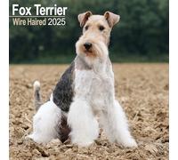 Fox Terrier (Wirehaired) 2025 Square Wall Calendar | Dog Breed Calendar