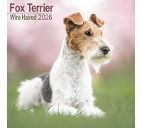 Fox Terrier Wirehaired Calendar 2026 Square Dog Breed Wall Calendar - 16 Month