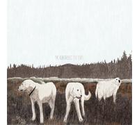 Foxing - The Albatross: Ten Years (Brown Vinyl LP) [Import]