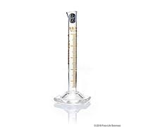 Foxx Life Sciences 3026030A Borosil Verre borosilicate 3,3 TC Gradué Avec Bec Verseur Base hexagonale Transparent Capacité 2 L