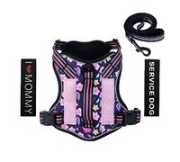 Foxyep Harnais Tactique Molle avec poignée pour Chiens de Taille Moyenne - Harnais réglable et réfléchissant avec Laisse pour Chien (Taille M, Bleu Floral)