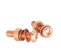 Foyoram Lot de 4 vis à tête bombée M6 x 8 mm en cuivre pur avec cruciforme, rondelles à ressort, écrous T2 en cuivre, Phillips, à tête plaine, rondelles à ressort, écrous hexagonaux (M6 x 8 mm)