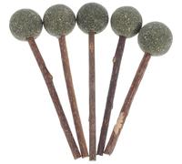 FOYTOKI 5 Pièces Sucettes à l'herbe à Chat en Bois pour Chats Moyens et Petits, Jouets Interactifs pour Jouer et Renforcer la Relation Tout en Nettoyant Les Dents