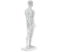 FOYTOKI Modèle Simulation Réaliste du Corps en Plastique Blanc Masculin D'acupuncture pour Médecine Traditionnelle Chinoise pour Formation des Acupuncteurs