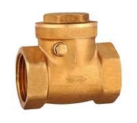 FQJYXWEWL Robinet à Bille Arrêt d'eau Chaude et Froide 1pc Clapet Anti-Retour en Laiton DN25 N20 Filetage Femelle Laiton 232PSI Empêcher Le Reflux