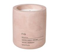 Fraga - Bougies parfumées L H 11cm / Ø 9cm