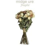 Ure, Midge - Fragile [Import]