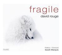 Fragile David Rouge (Auteur)