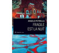 Fragile est la nuit