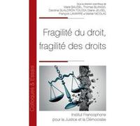 Fragilité du droit, Fragilités des droits Diane Jeusel (Auteur), Marie Baudel (Auteur), Thomas Blangis (Auteur), Carolina Gualdrón Tolosa (Auteur), François Lamarre (Auteur), Martial Nicolas (Auteur)