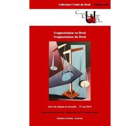 Fragmentation en droit - fragmentation du droit Actes du colloque de grenoble - 17 mai 2013 - Romain Tinière - Epitoge - broché - Etude
