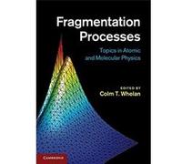 Fragmentation Processes: Topics In Atomic And Molecular Physics Unknown (Auteur)