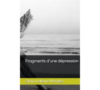 Fragments d’une dépression