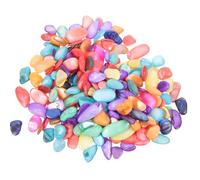 Fragments de Coquillage Colorés Naturels pour Mosaïque DIY Décorative